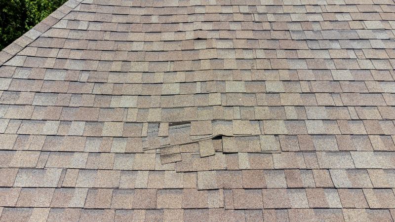 Asphalt Shingle Repair Image 8