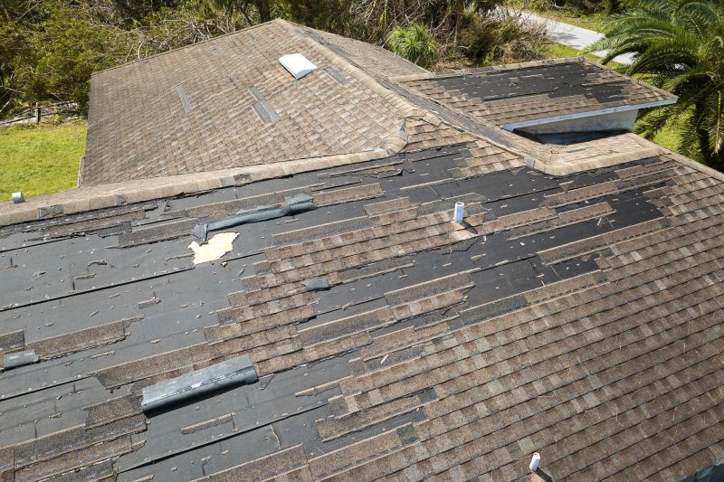 Asphalt Shingle Repair Image 9